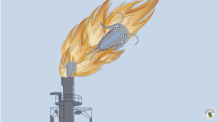 A real-life ghost story