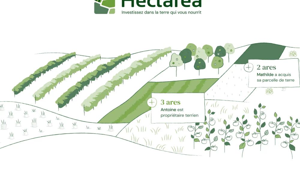 Illustration d'un paysage agricole avec des vignes, des arbres fruitiers et des cultures maraîchères, représentant l'investissement dans la terre.