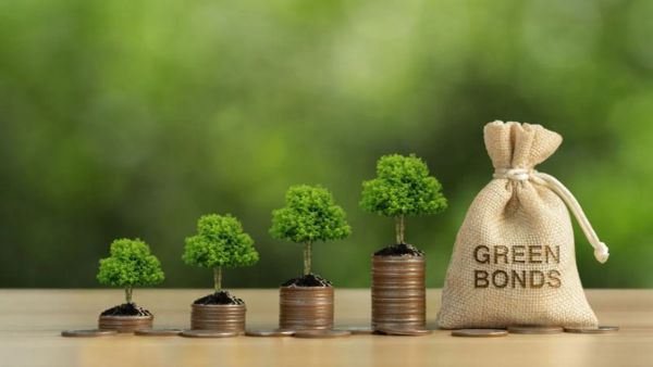 Arbres poussant sur des piles de pièces de monnaie, à côté d'un sac en toile de jute étiqueté 'Green Bonds'.