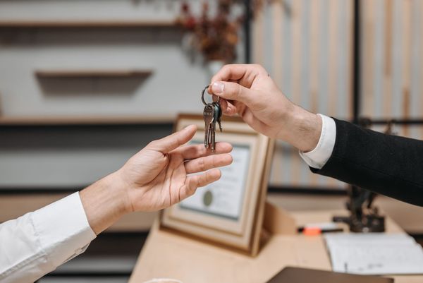 Bourse ou immobilier : comparaison des deux investissements, lequel est le plus rentable ?