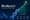 Company Fundamentals Analysis