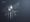 The Cassandra — Contrarian Risk Analysis