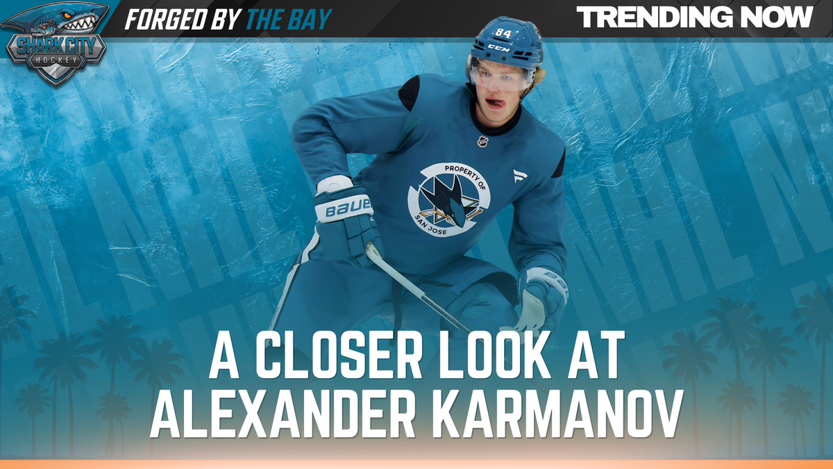 A Closer Look at Alexander Karmanov