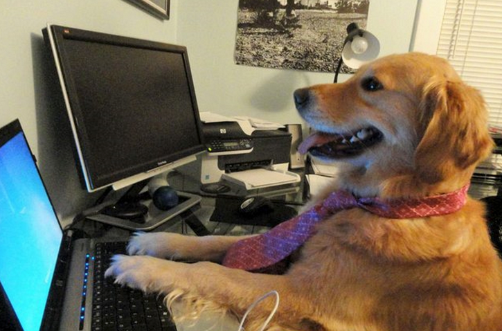 Linux Systemd Stupid Trick Of The Day