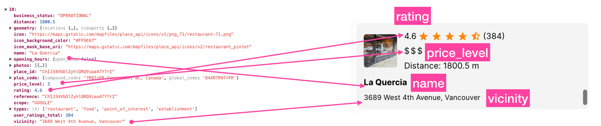 Google Maps Nearby Search API place object