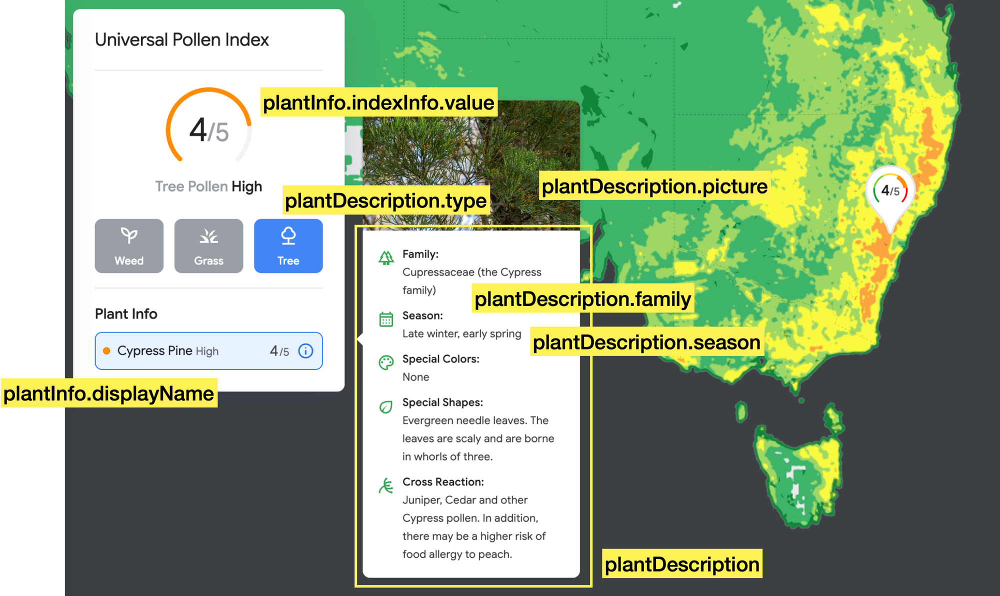 Data returned by the Forecast endpoint of the Google Pollen API