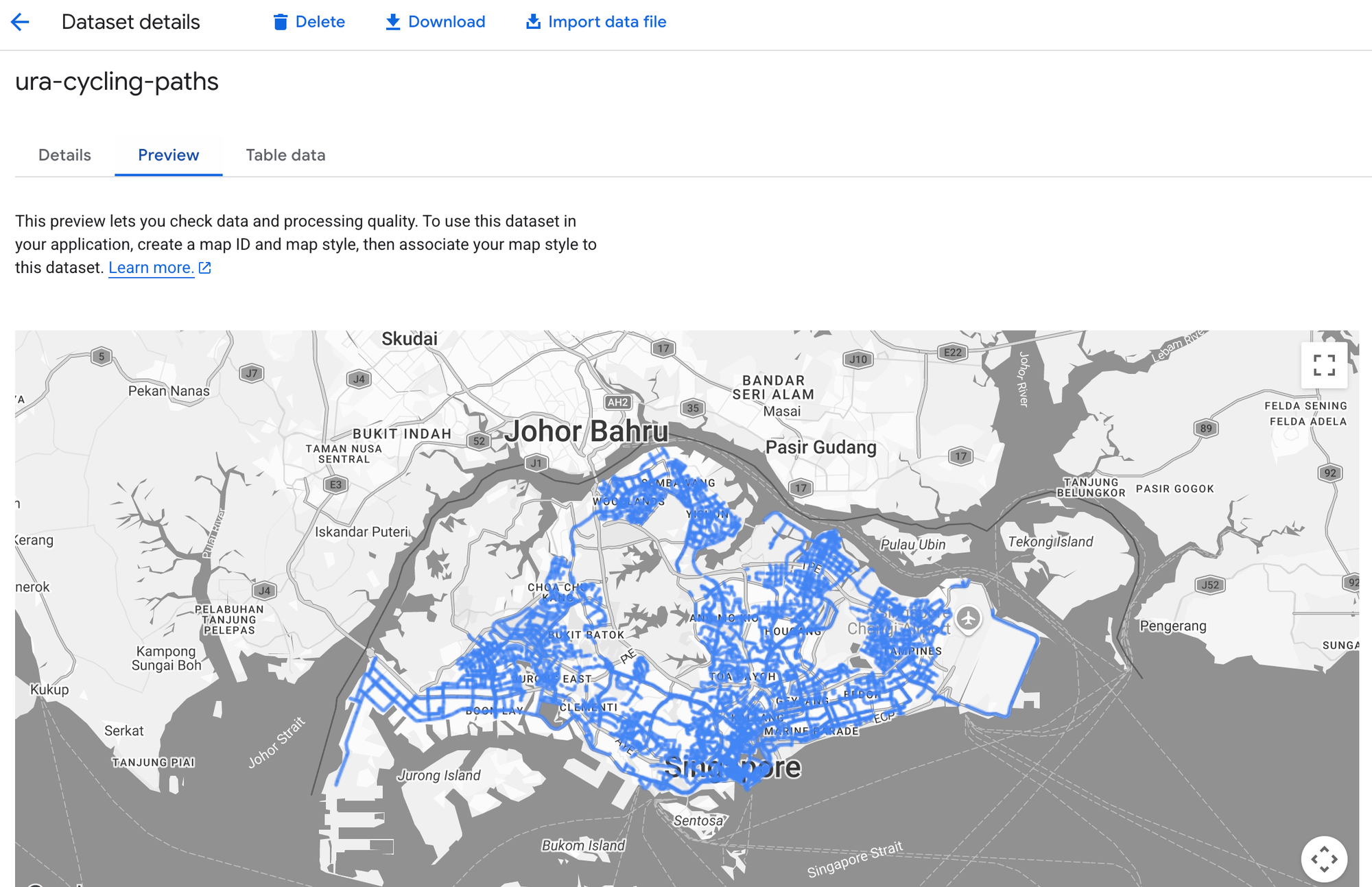 Using the preview tab to view the dataset uploaded to the Google Cloud Console