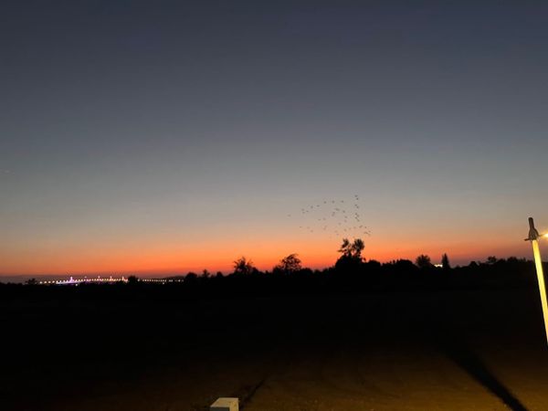 推薦Podcast |【心理敲敲門#142】是衝突可怕？還是投射把人推遠了？