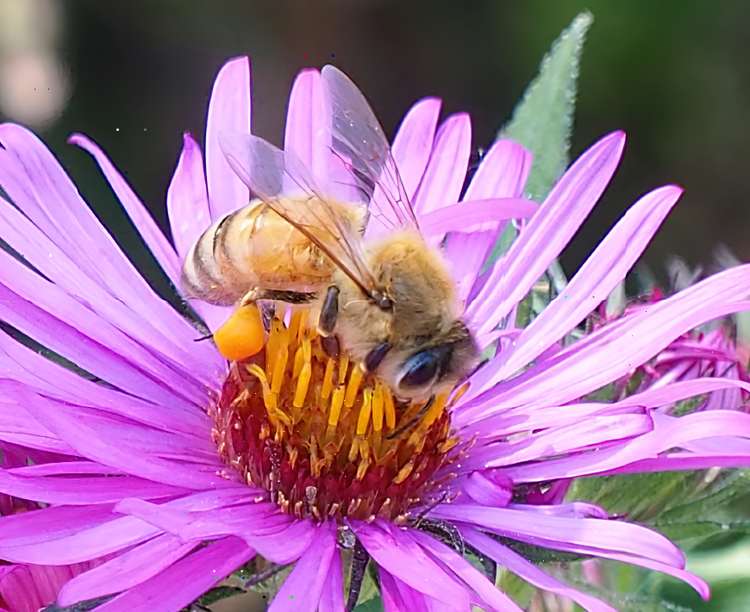 13 Ways to Get to Know Your Neighbors