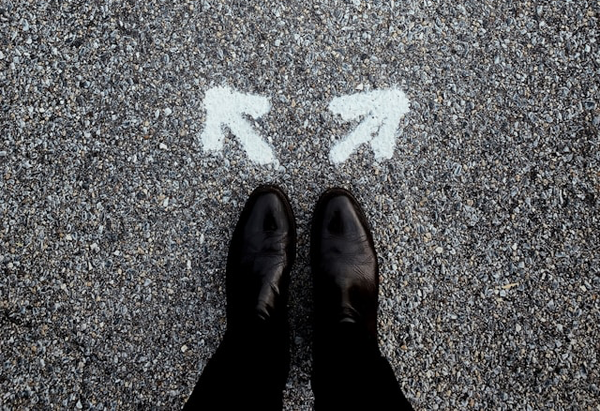 Person standing at a fork in the road with arrows pointing in different directions, representing decision-making in a job search