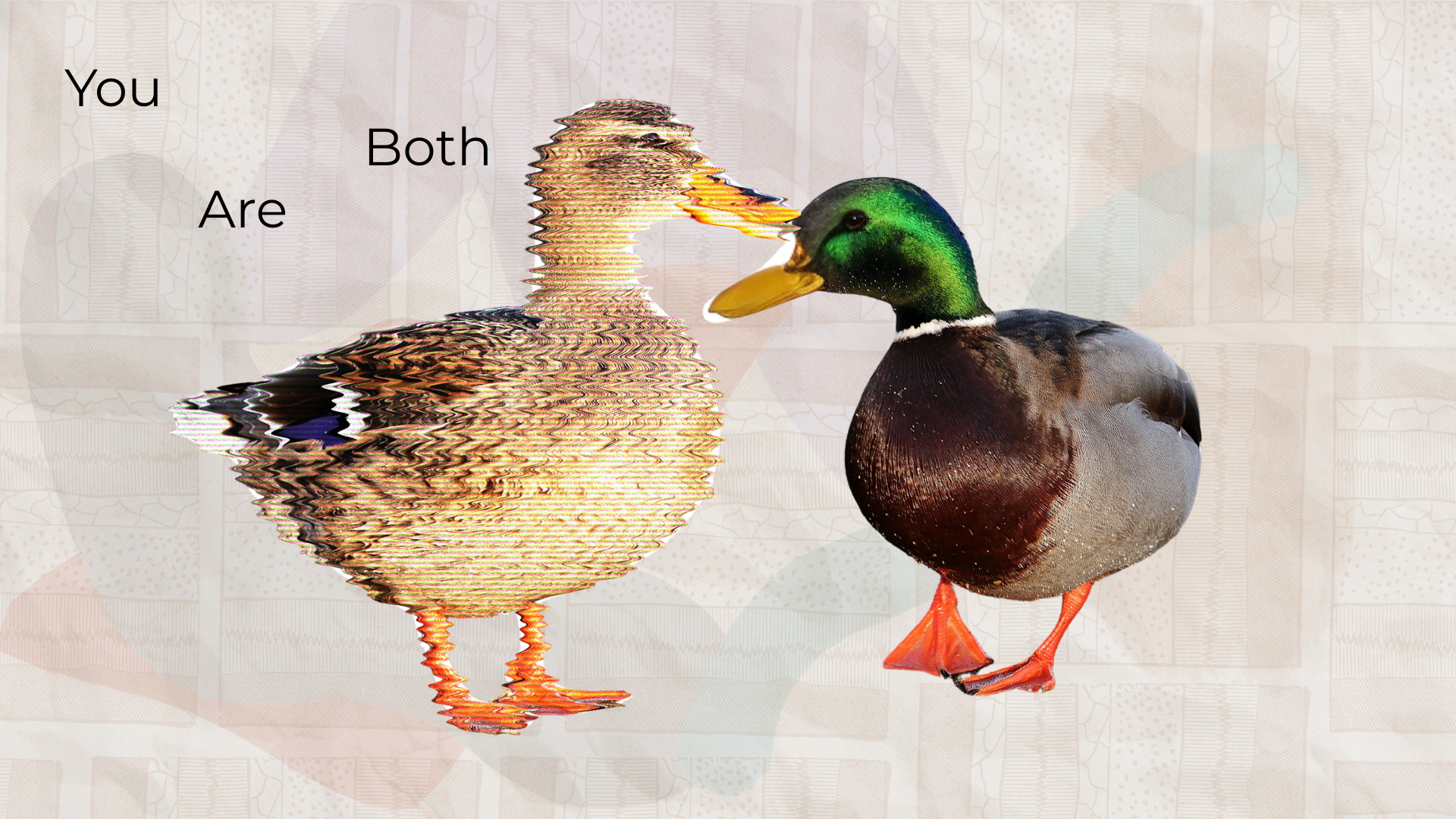 Two ducks, one distorted and the text "You Are Both"