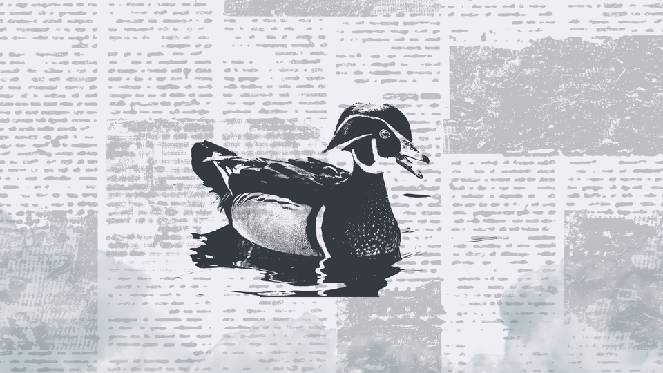 Stop Flirting with the Chatbot