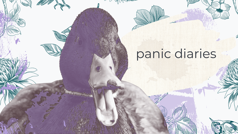 Panic Diaries