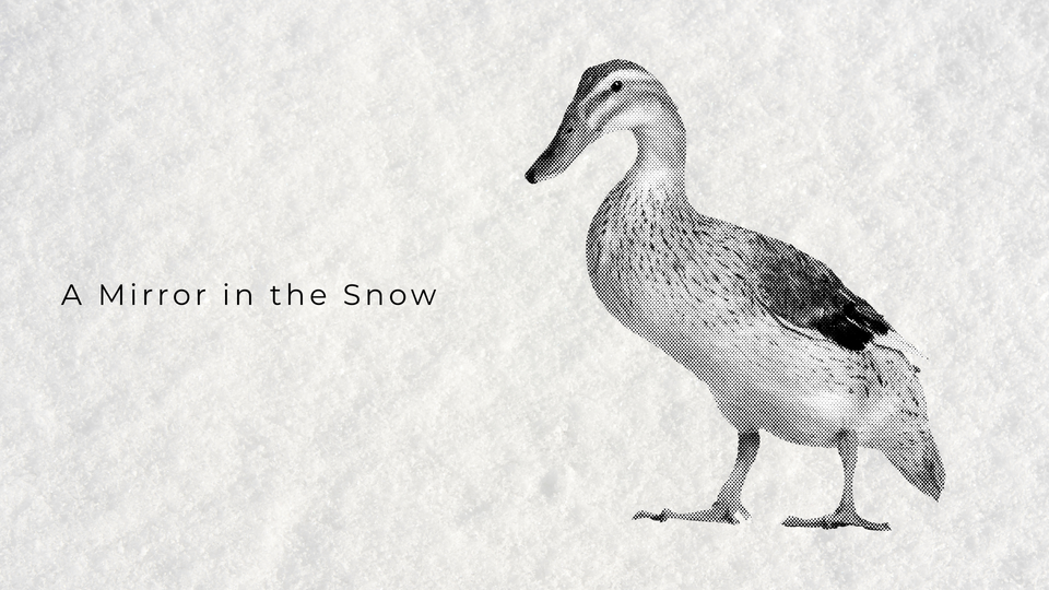 A Mirror in the Snow