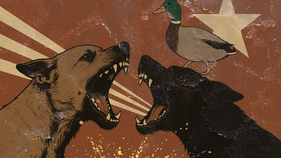 Most of what people call aggression in dogs is an inappropriate response to fear and uncertainty.