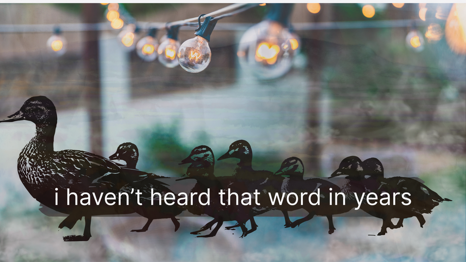 I Haven’t Heard That Word in Years