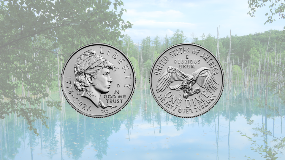 The Dime Dropped Something