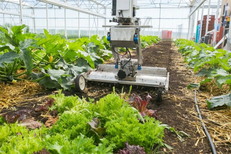 フランス欧州ビジネスニュース2025年8月18日(完全版)