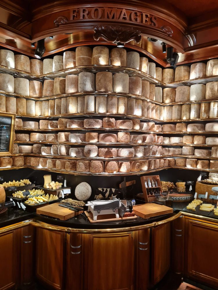 フランス欧州ビジネスニュース2025年8月29日(フリー)