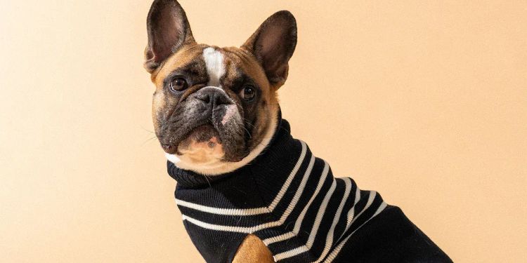 フランス欧州ビジネスニュース2025年9月1日(完全版)