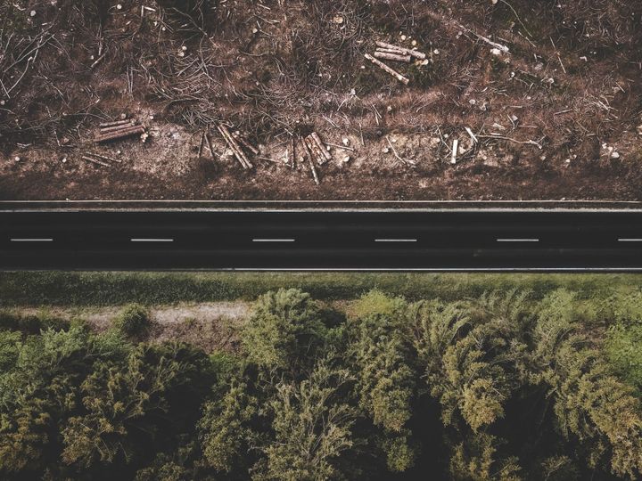 The European Union's Deforestation Regulation (EUDR): A Comprehensive Overview