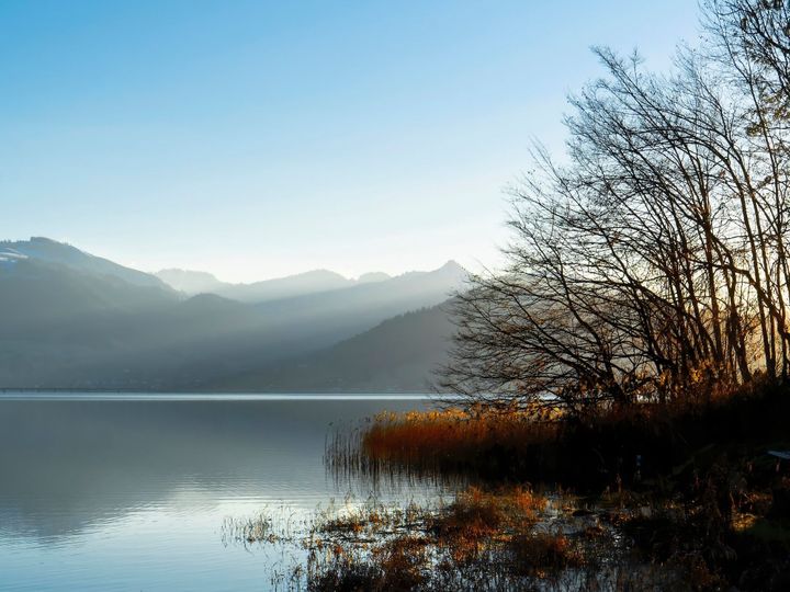 The Power of 'Partners with Purpose' Programs: Driving Supplier Engagement for a Net Zero Future