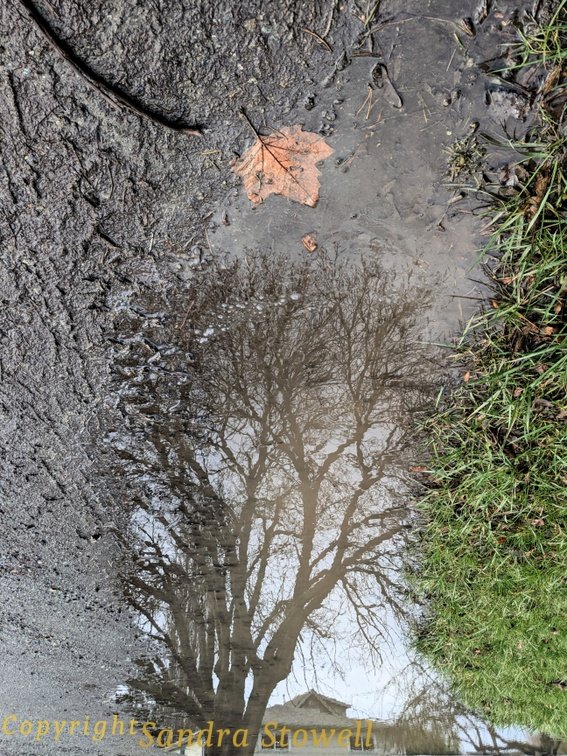   Photo by Sandra Stowell  