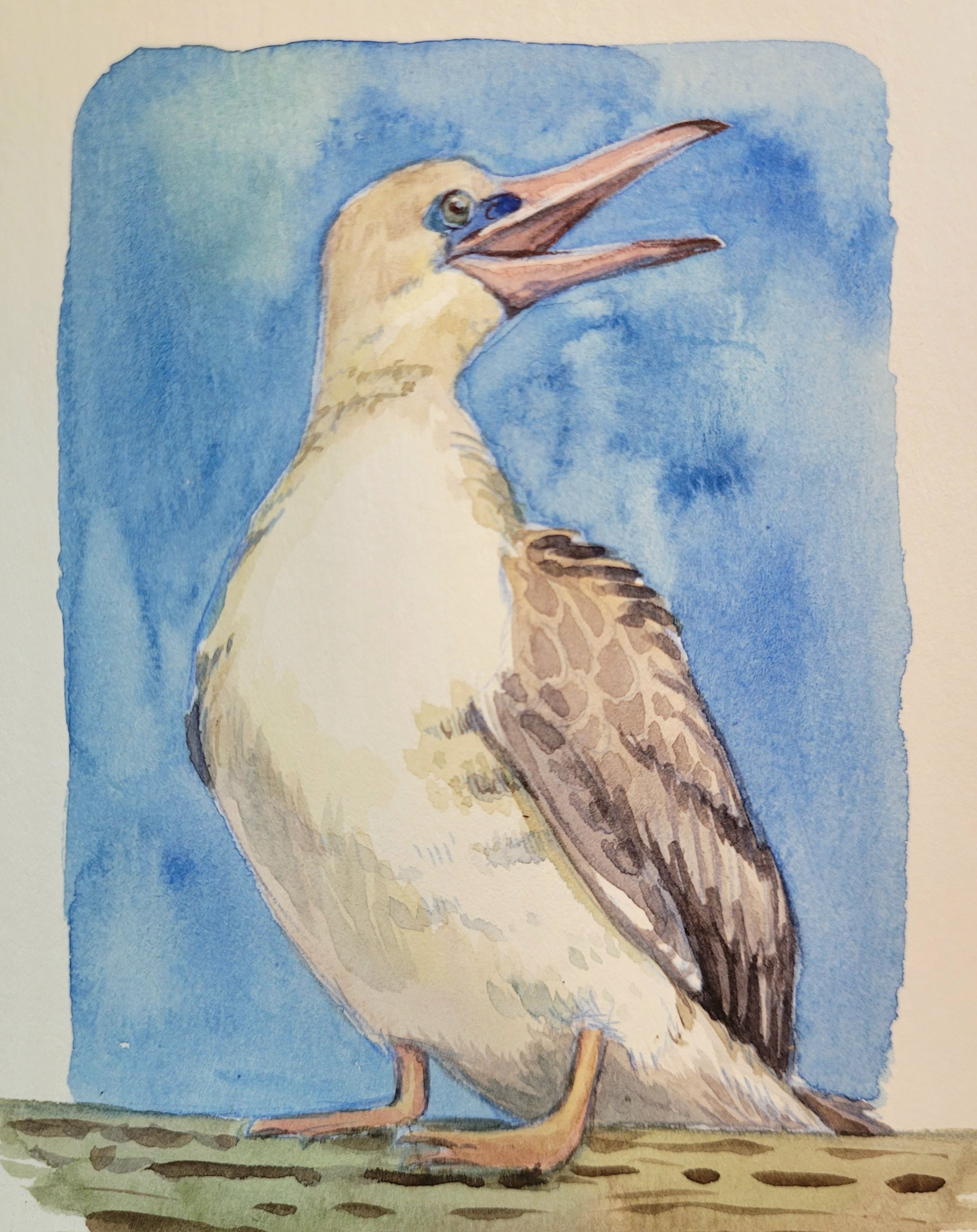   Watercolor by Carolyn Woods  