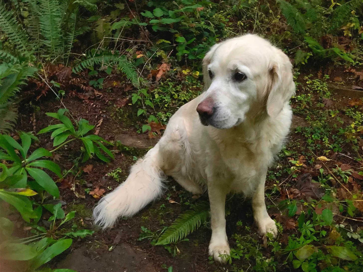   Hanne, photo by Mark Rose  