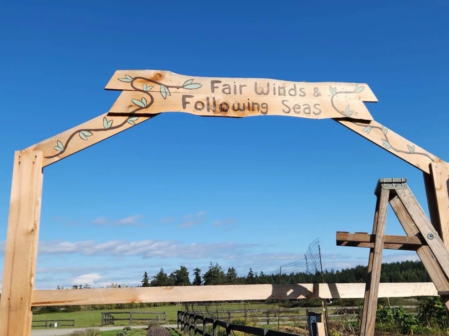    Photo by Bear Belle.  