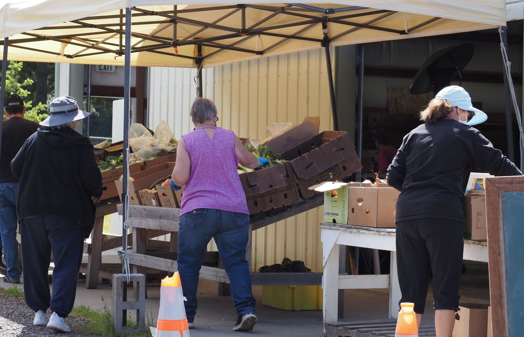   Volunteers at the Tri-Area Food Bank had a wide range of produce on hand to pick for clients on Wednesday, June 12. Beacon photo by Derek Firenze  