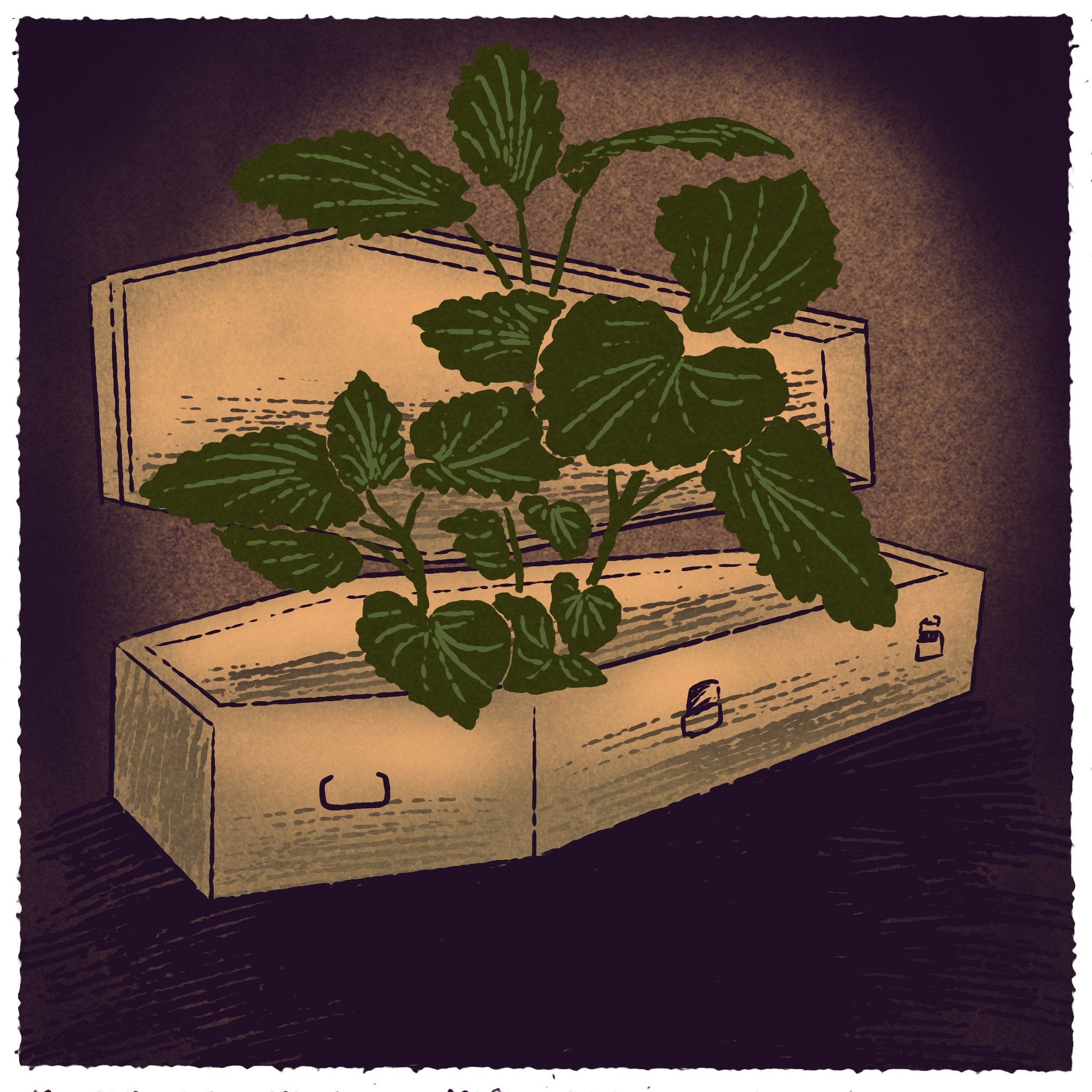   Illustration by Nhatt Nichols  