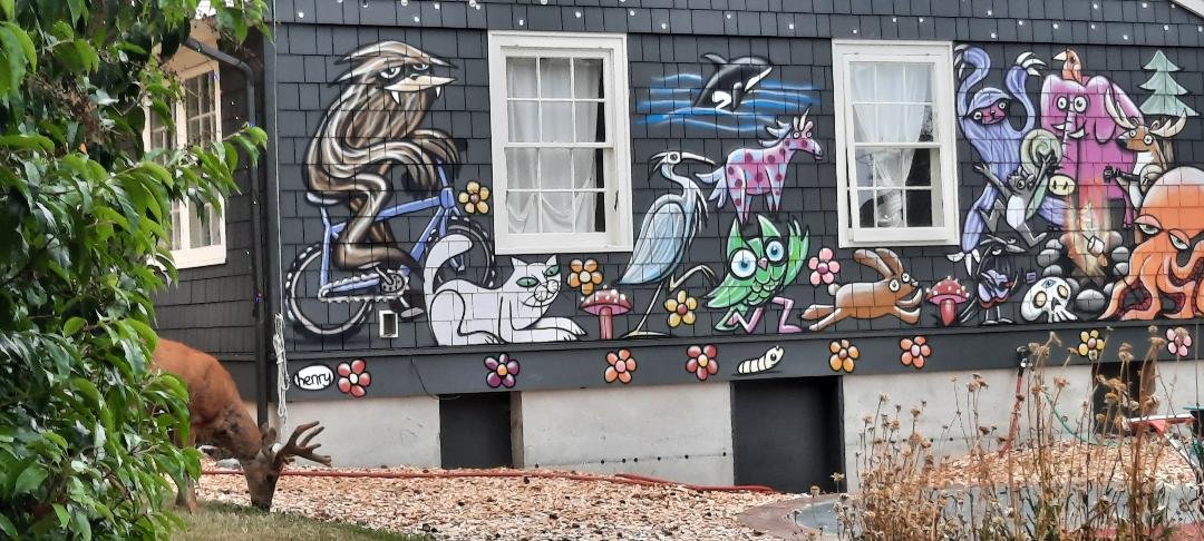   A local buck grazes near the imaginary animals of a Henry mural in Port Townsend. While this mural is not a part of Henry’s One Thousand Sasquatch Heads project, it is representative of his work seen all over Washington state. Photo by Kathie Meyer  