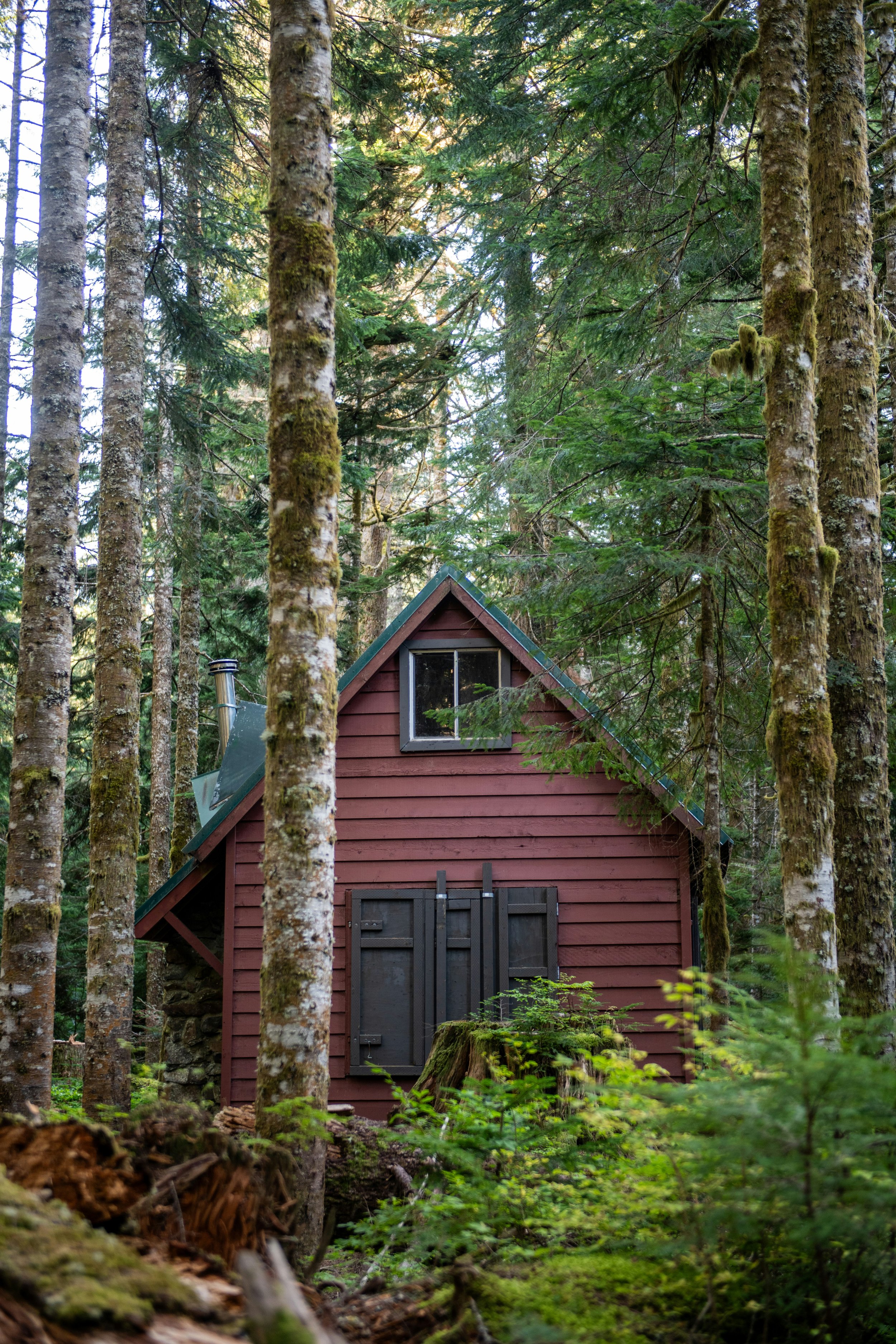   Photo by    Holly Landkammer    on    Unsplash   