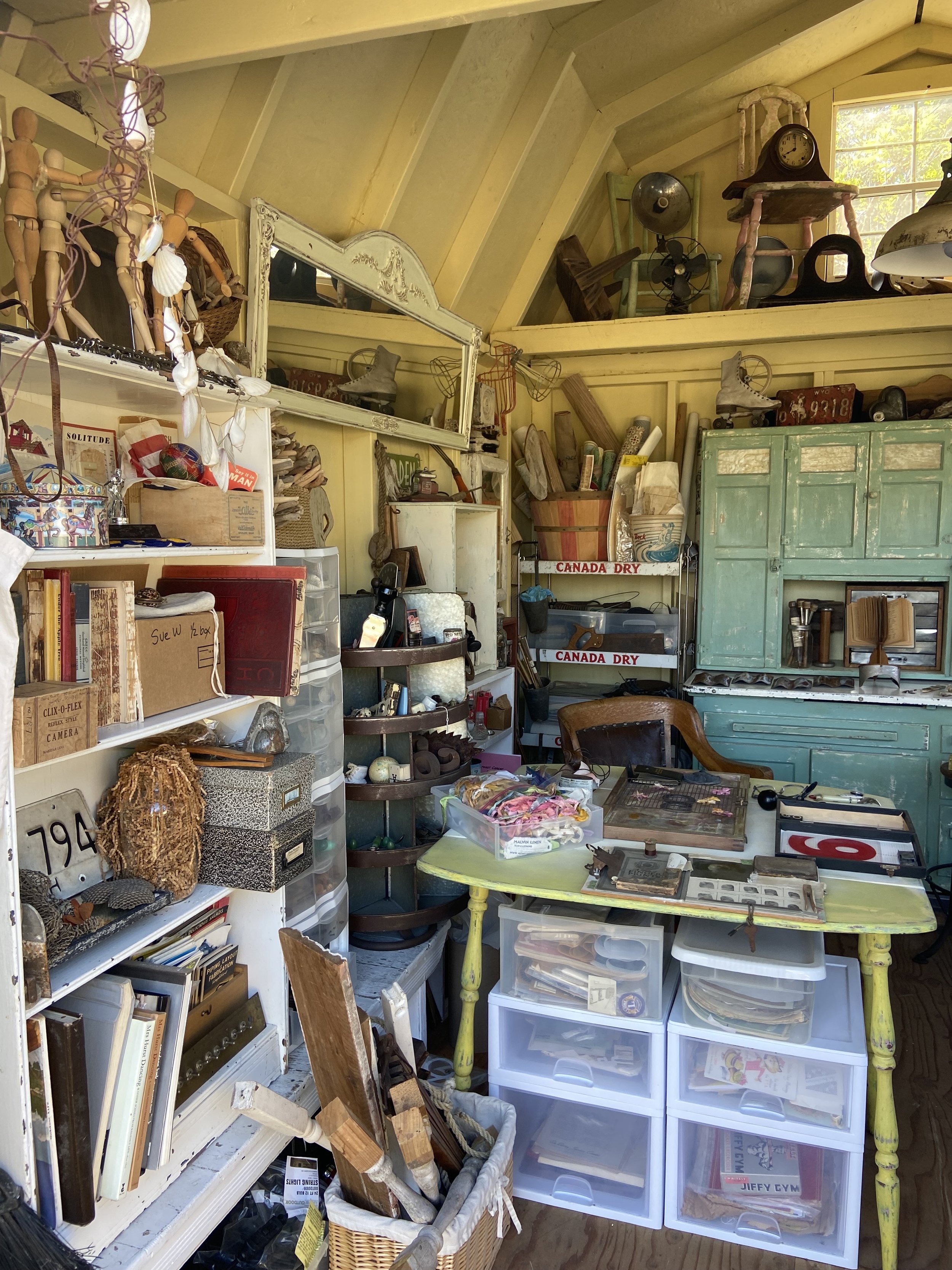   Studio photo by Carolyn Lewis  