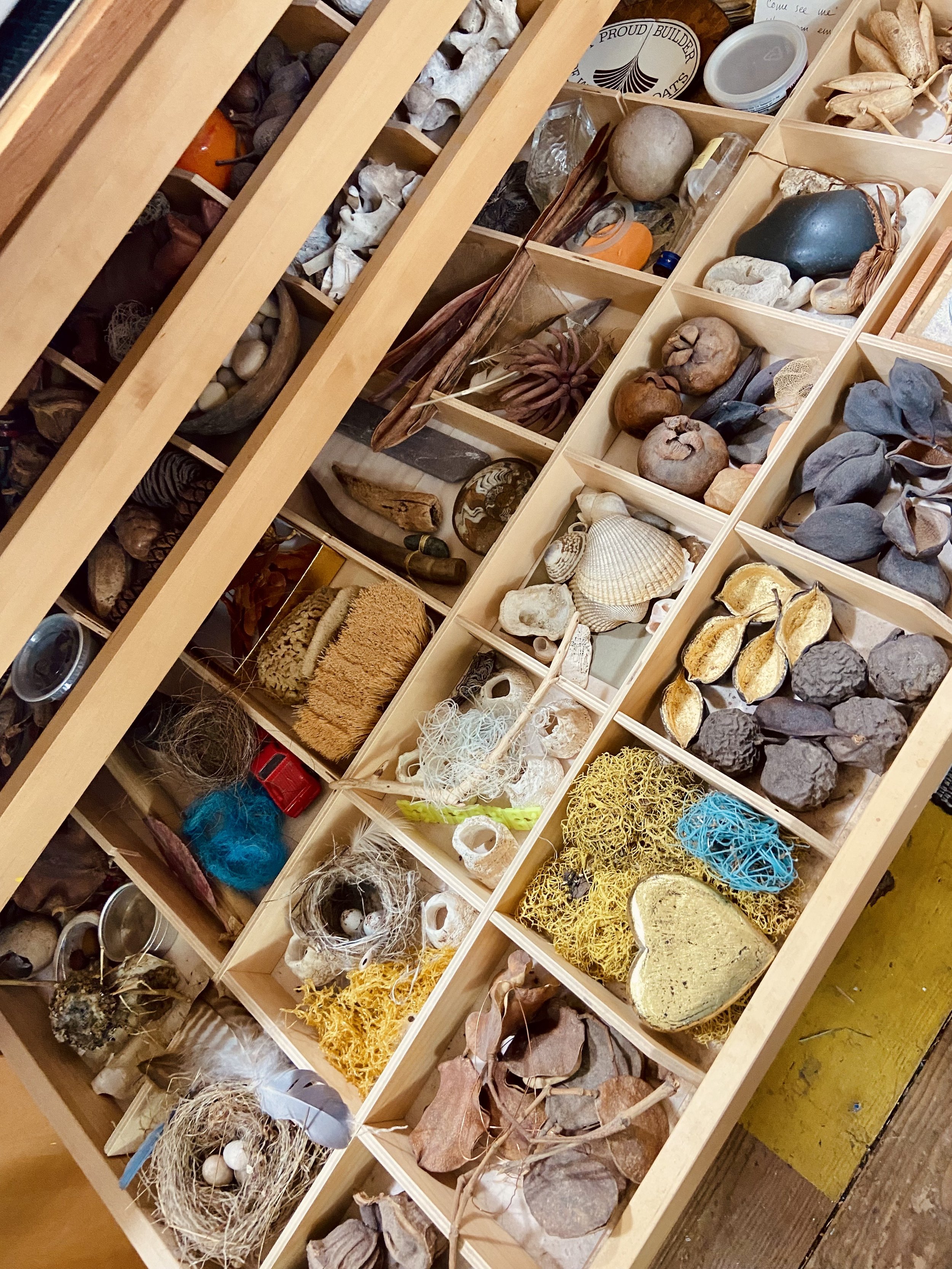   One of Kim Kopp’s many drawers of surprise. Photo by Carolyn Lewis.  