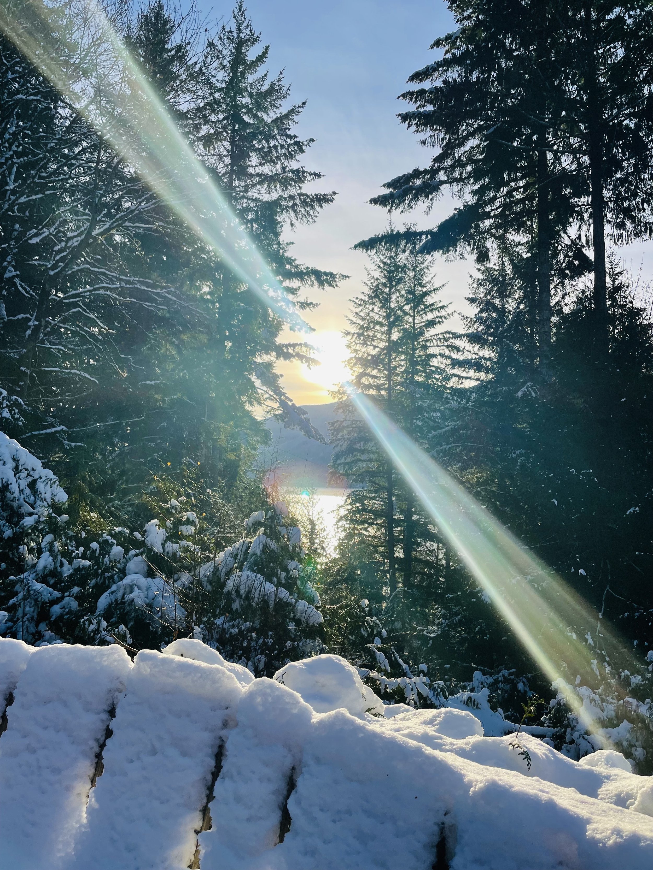   Wintering in Quilcene. Photo by Amber Autumn Leaves Huntsman  