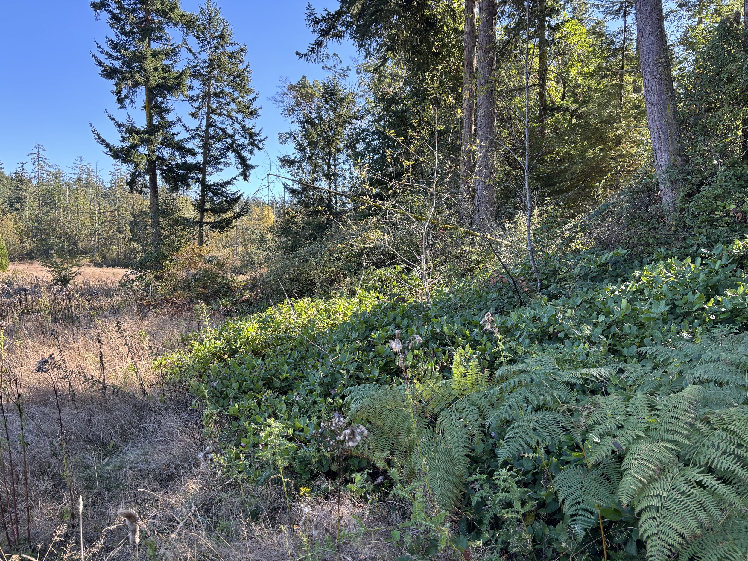   Photo curtesy of Erik Kingfisher and the Jefferson Land Trust.  