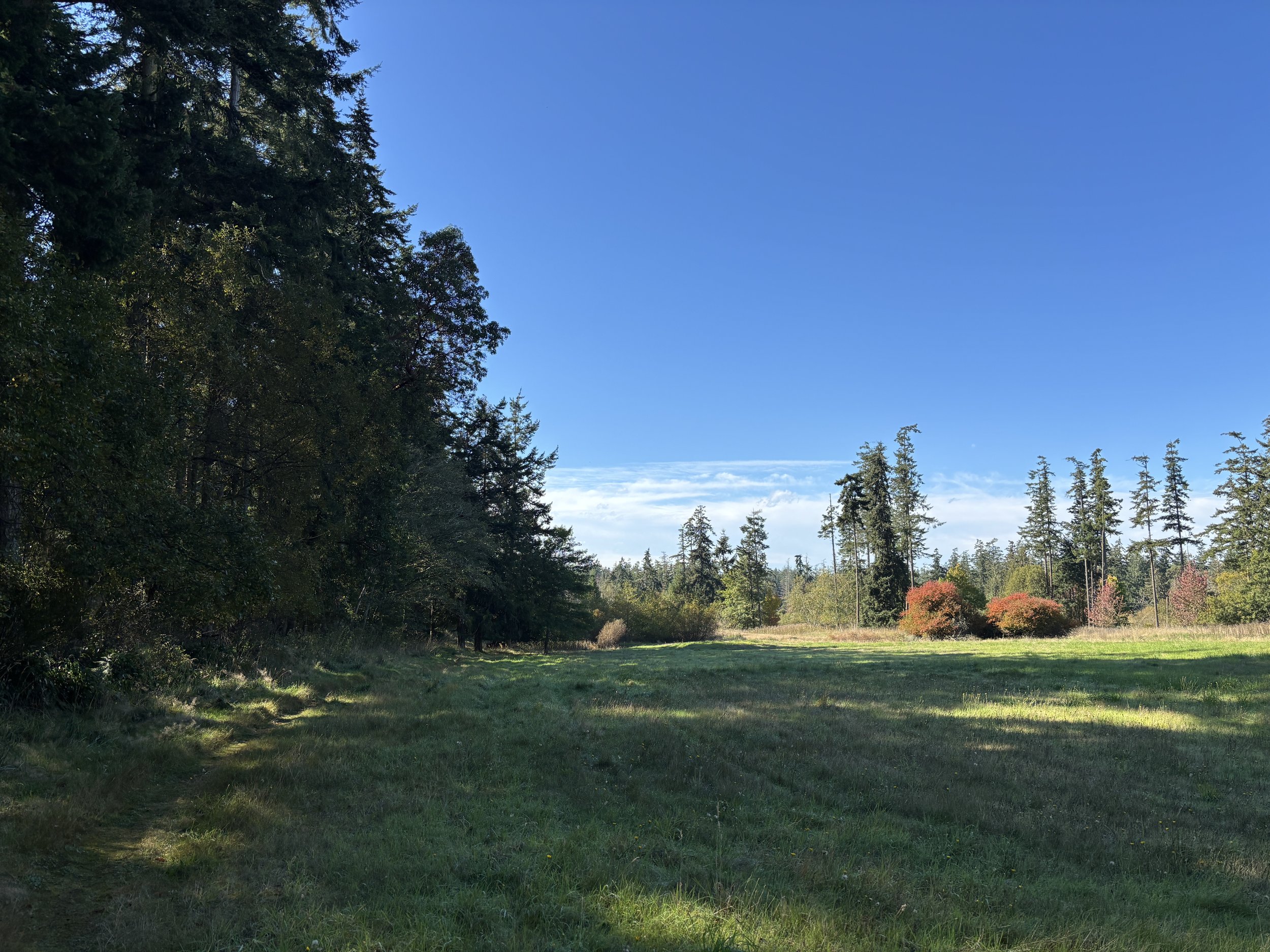   Photo of the proposed conservation burial grounds curtesy of Erik Kingfisher and the Jefferson Land Trust.  