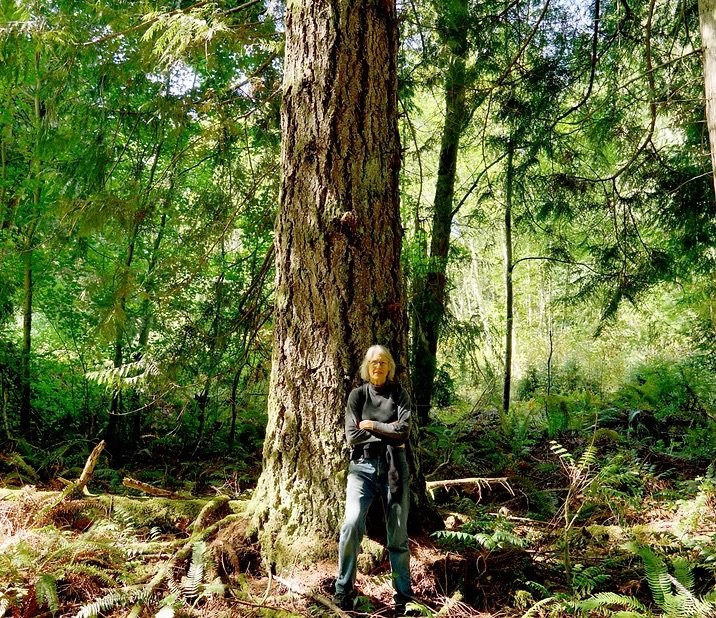   Image of Last Crocker forest courtesy of The Legacy Forest Defense Coalition website  