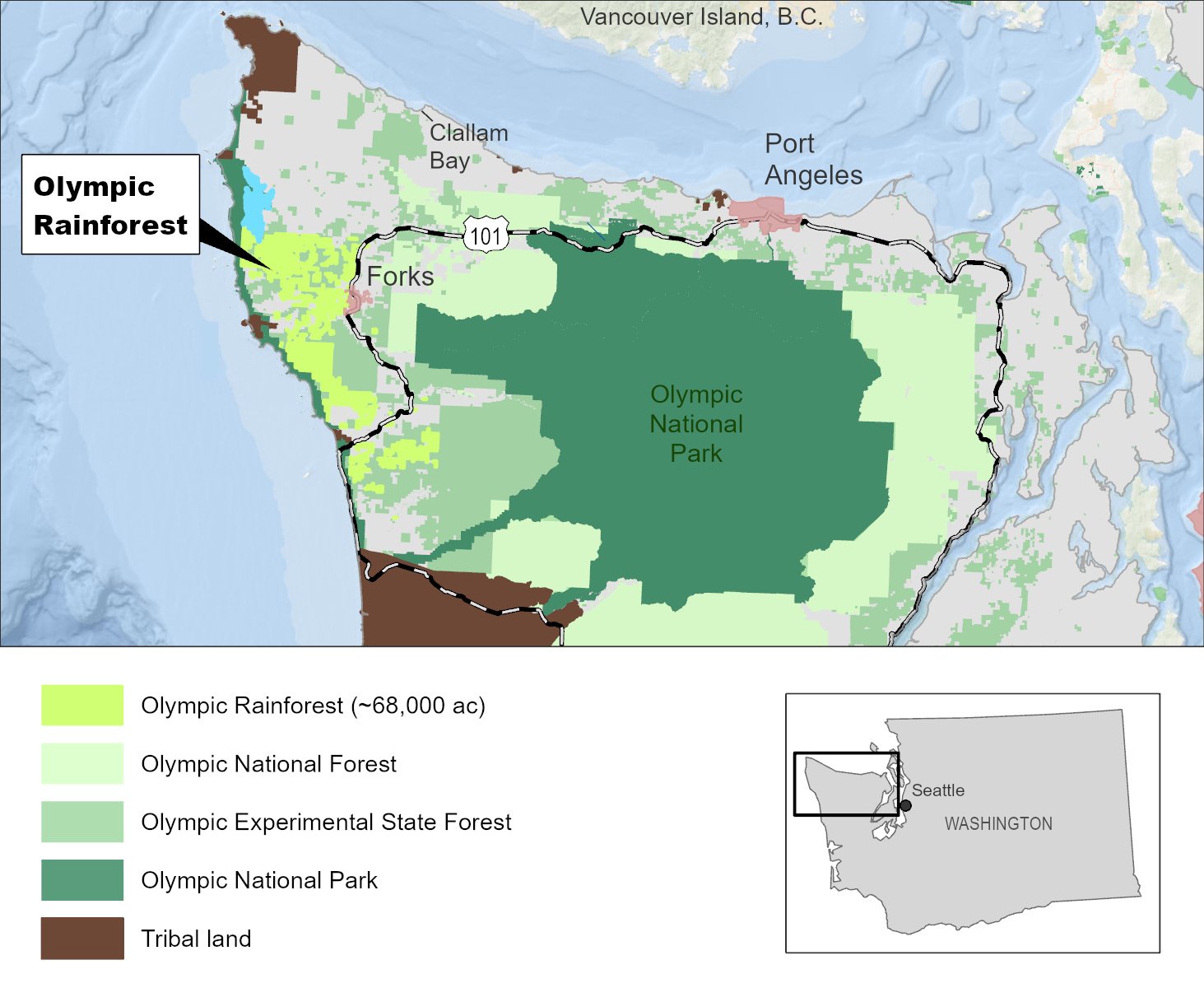   The property that EFM manages and Microsoft has invested in is the Olympic Rainforest, a 68,000 acre property that spance Clallam and Jefferson Counties. Image provided by EFM  