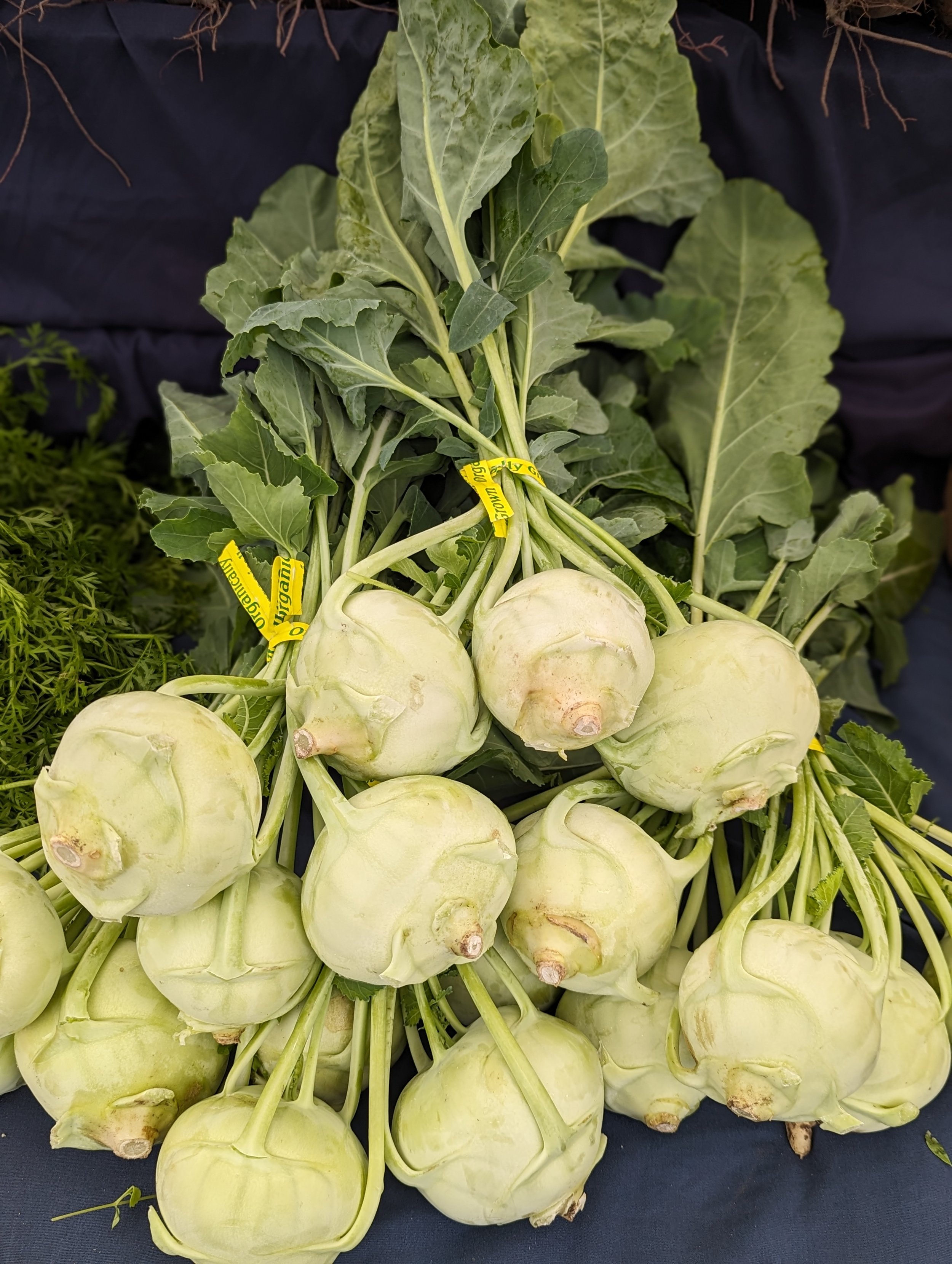   Stellar J Farm's kohlrabi at farmers market  