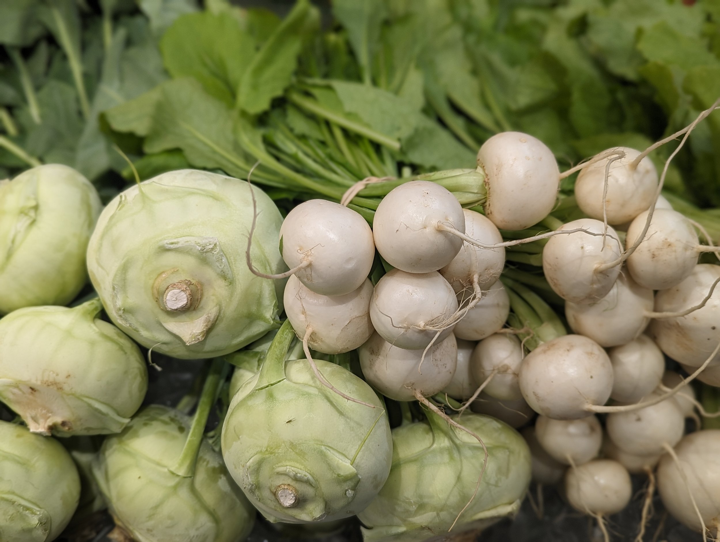   Kohlrabi and hakurei turnips at the Food Co-op  