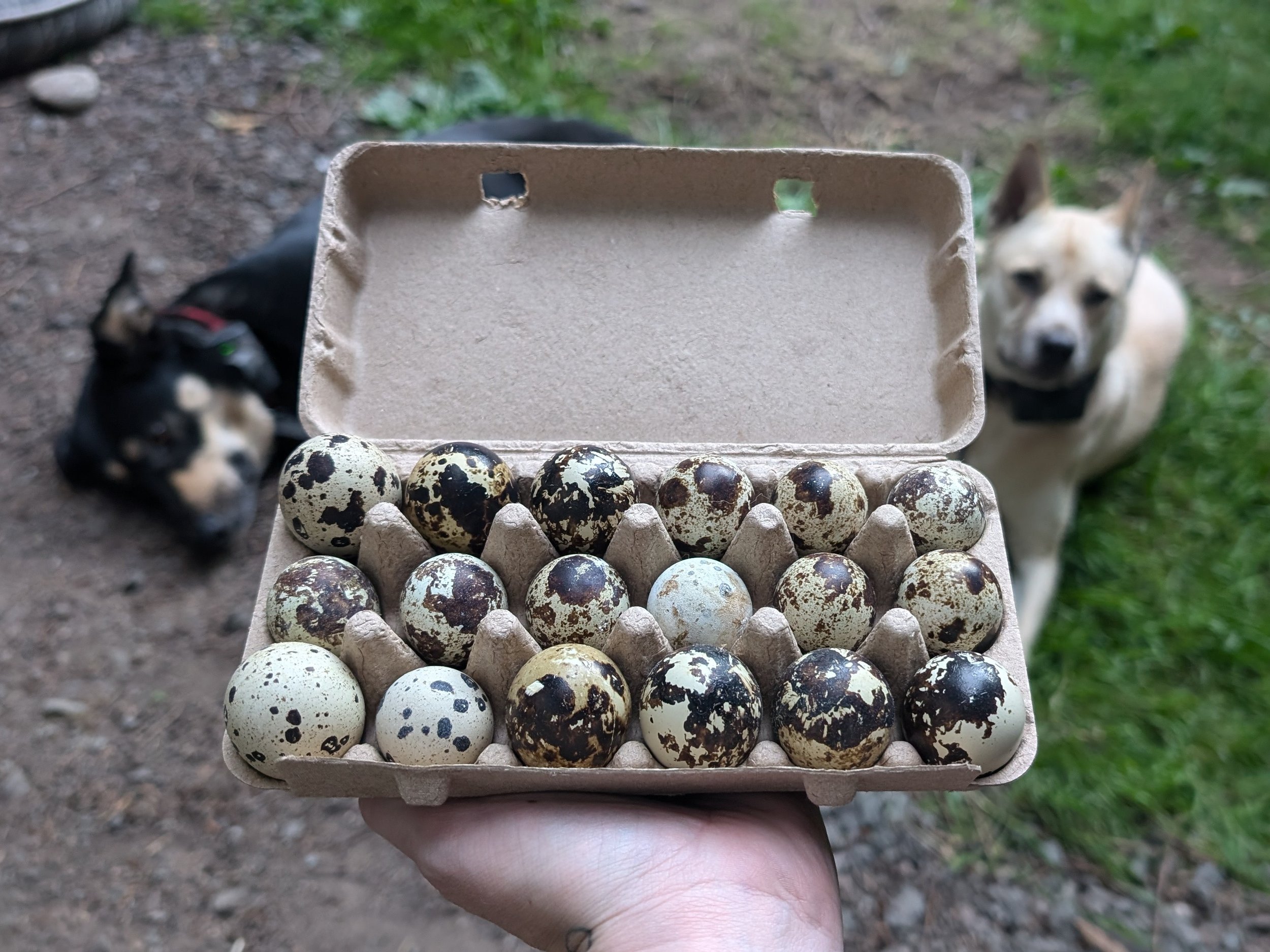   Photo by Erin Channis  