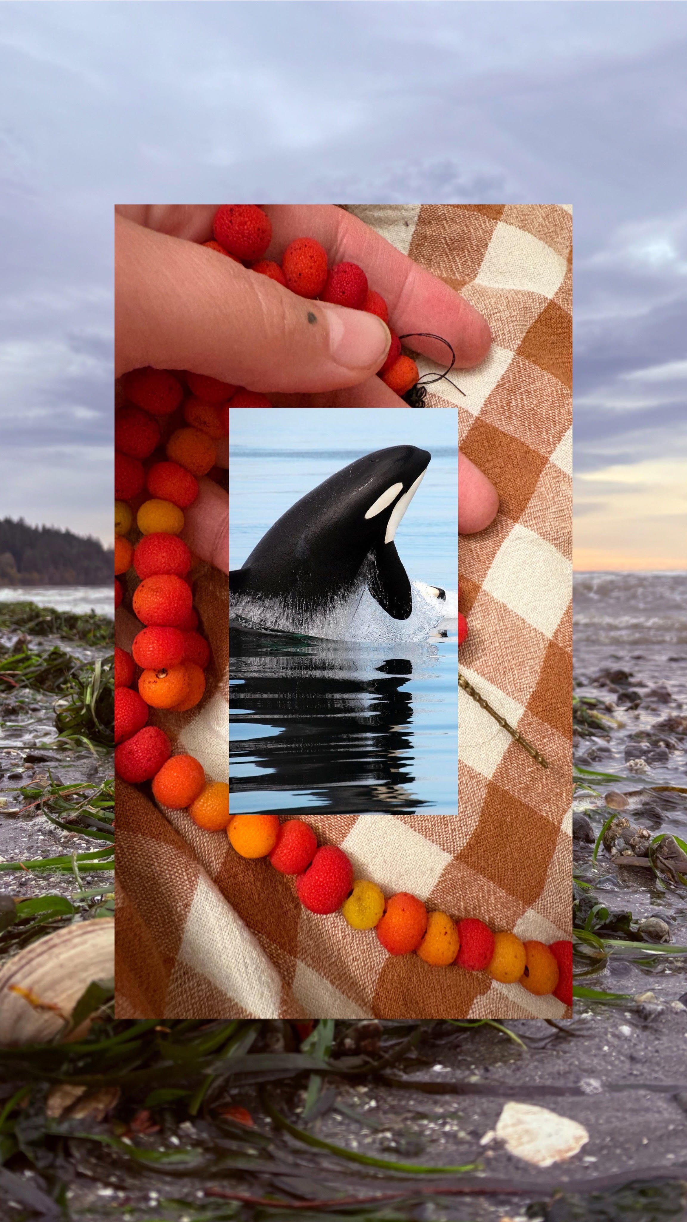   Image Collage by Amber Autumn Leaves Huntsman  