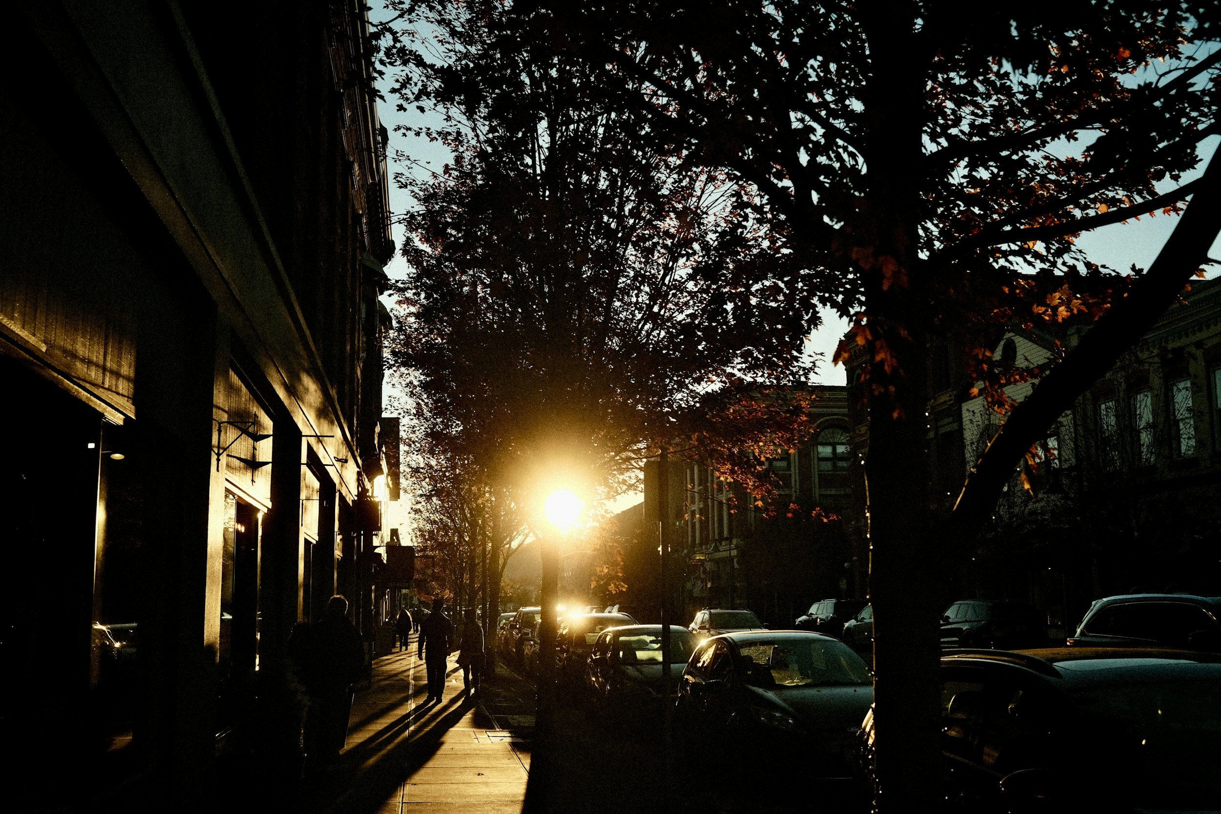   City of Port Townsend seeks citizens willing to illuminate them on budget priorities. Photo by Jen Geo, Unsplash  