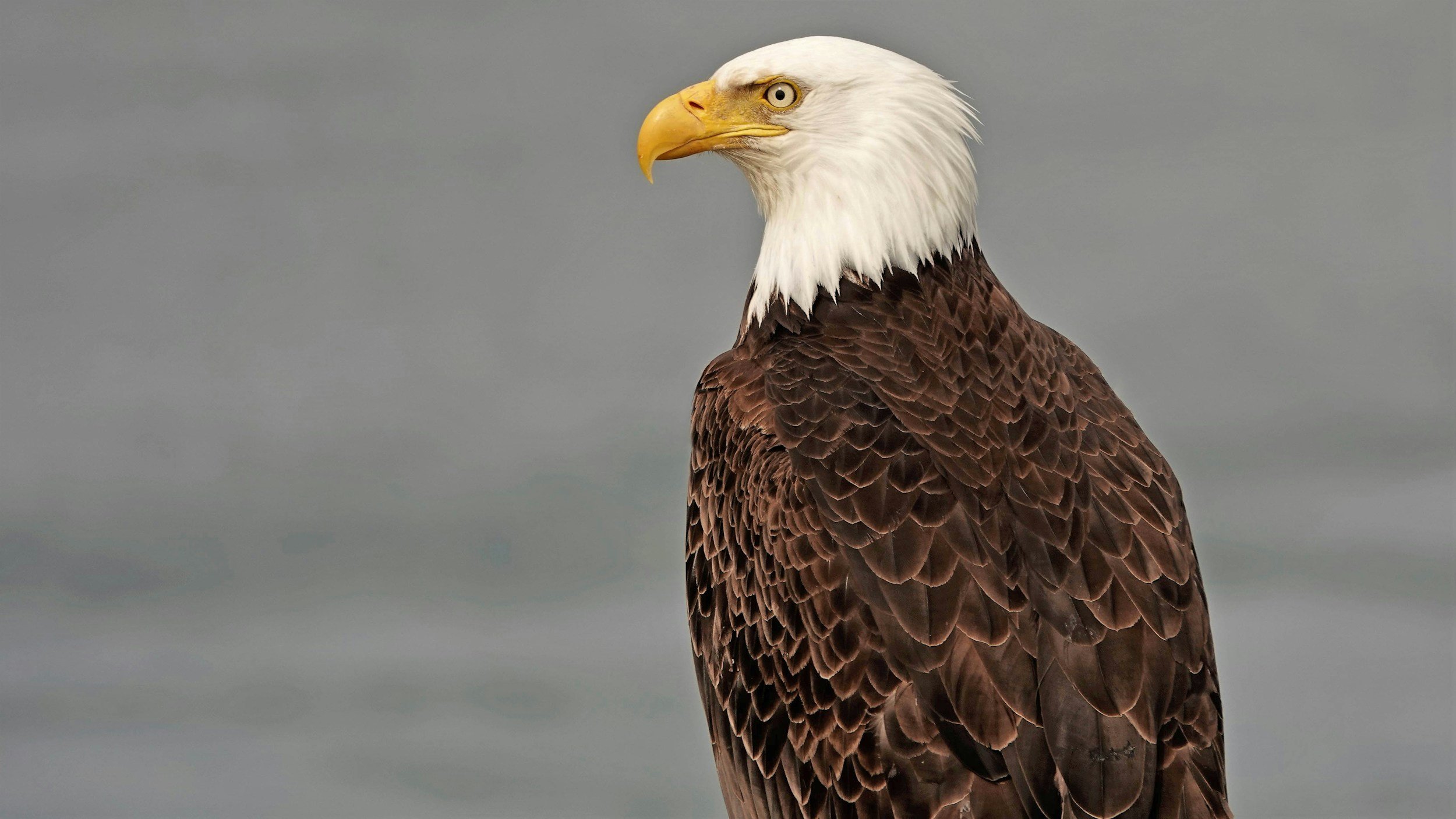   Photo courtesy of Unsplash, Christopher Osten  