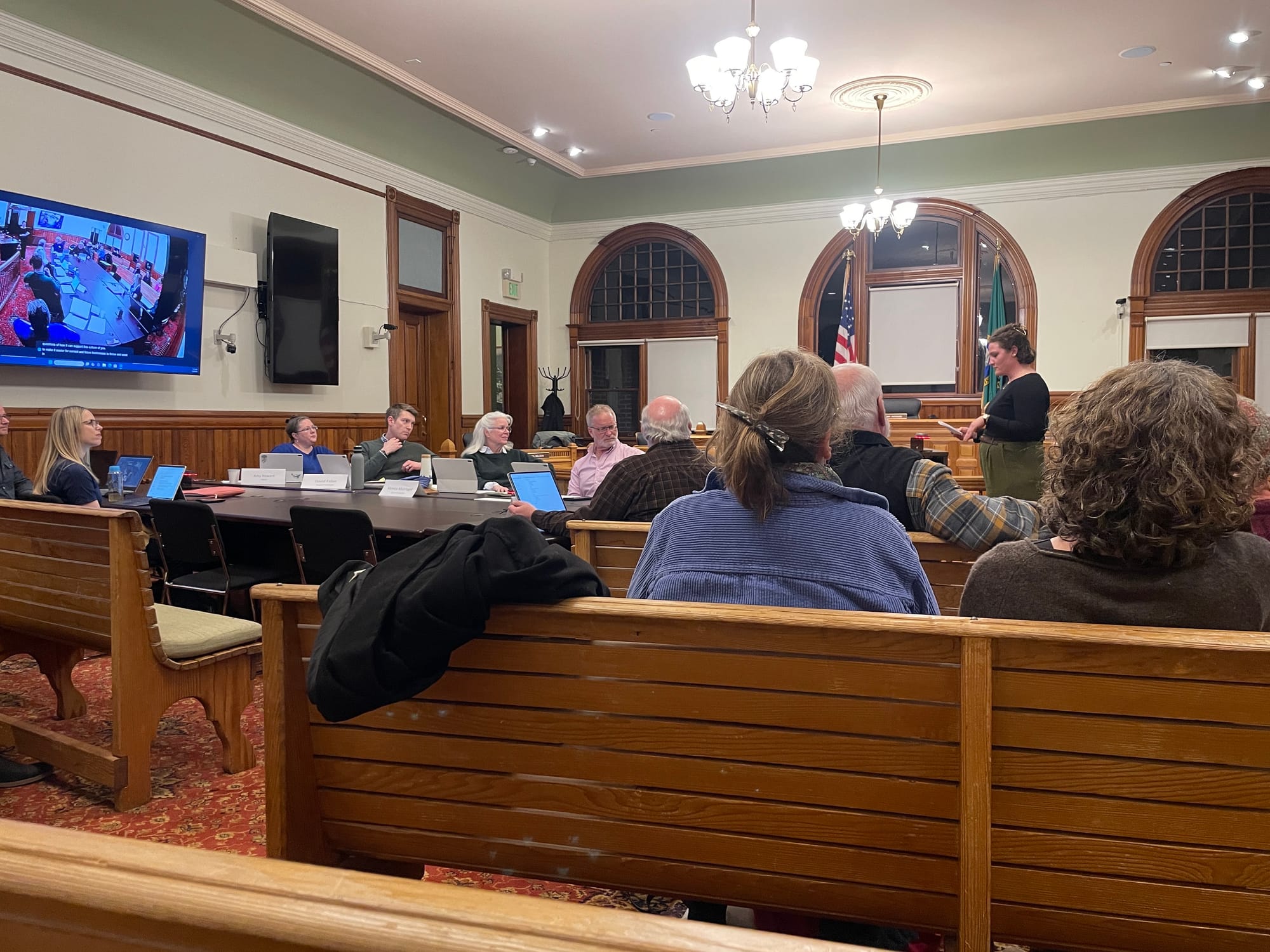 The backs of audience facing City Council meeting