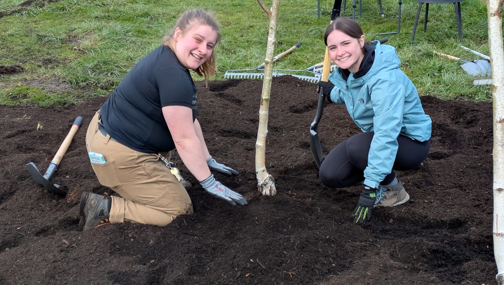 Rachel May and Sarah Fisher planting birch trees in dark rich soil at Mountain View Dog Park.