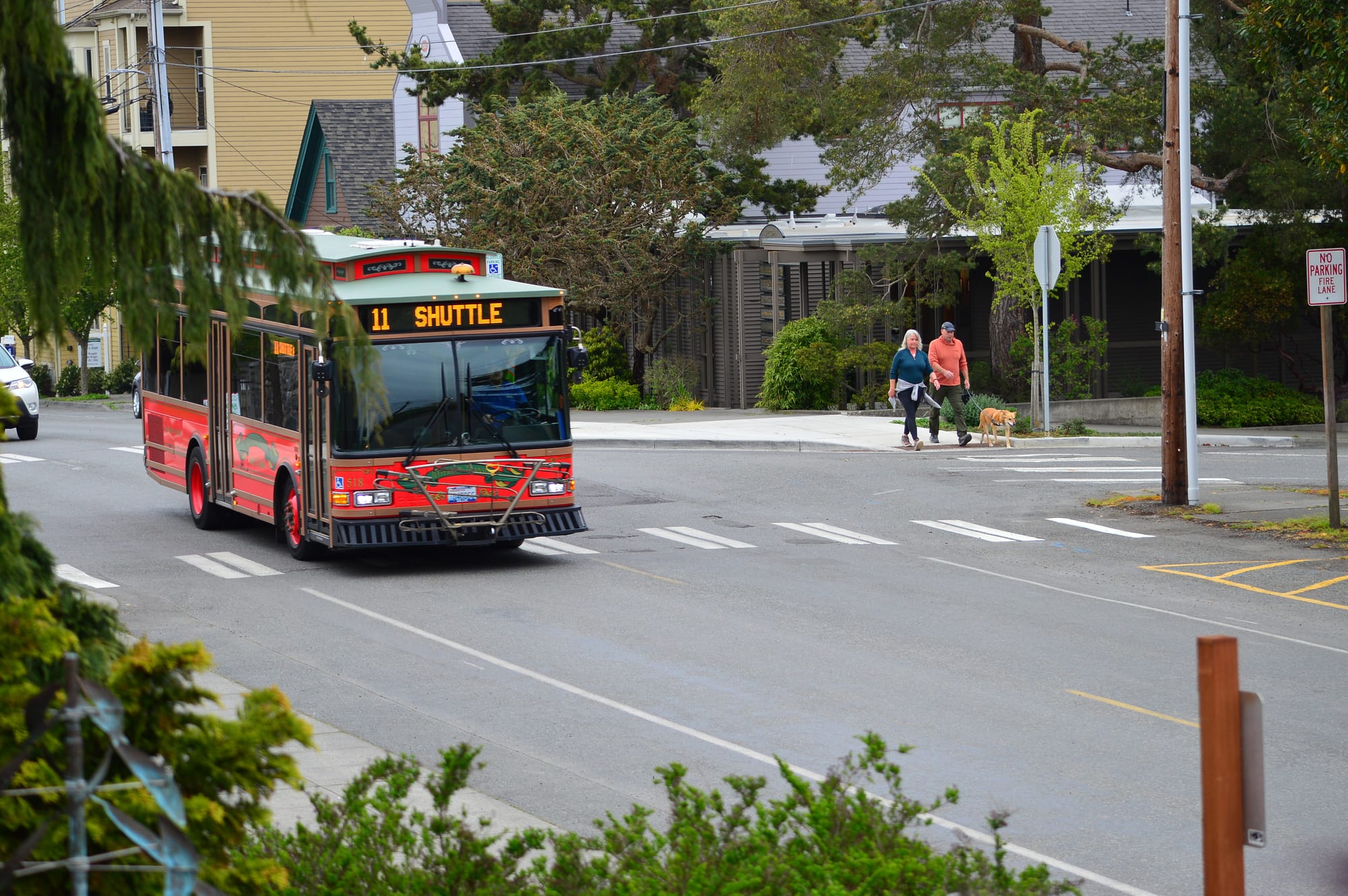 A red trolley-style shuttle bus driving down the street past two people walking a dog. 
